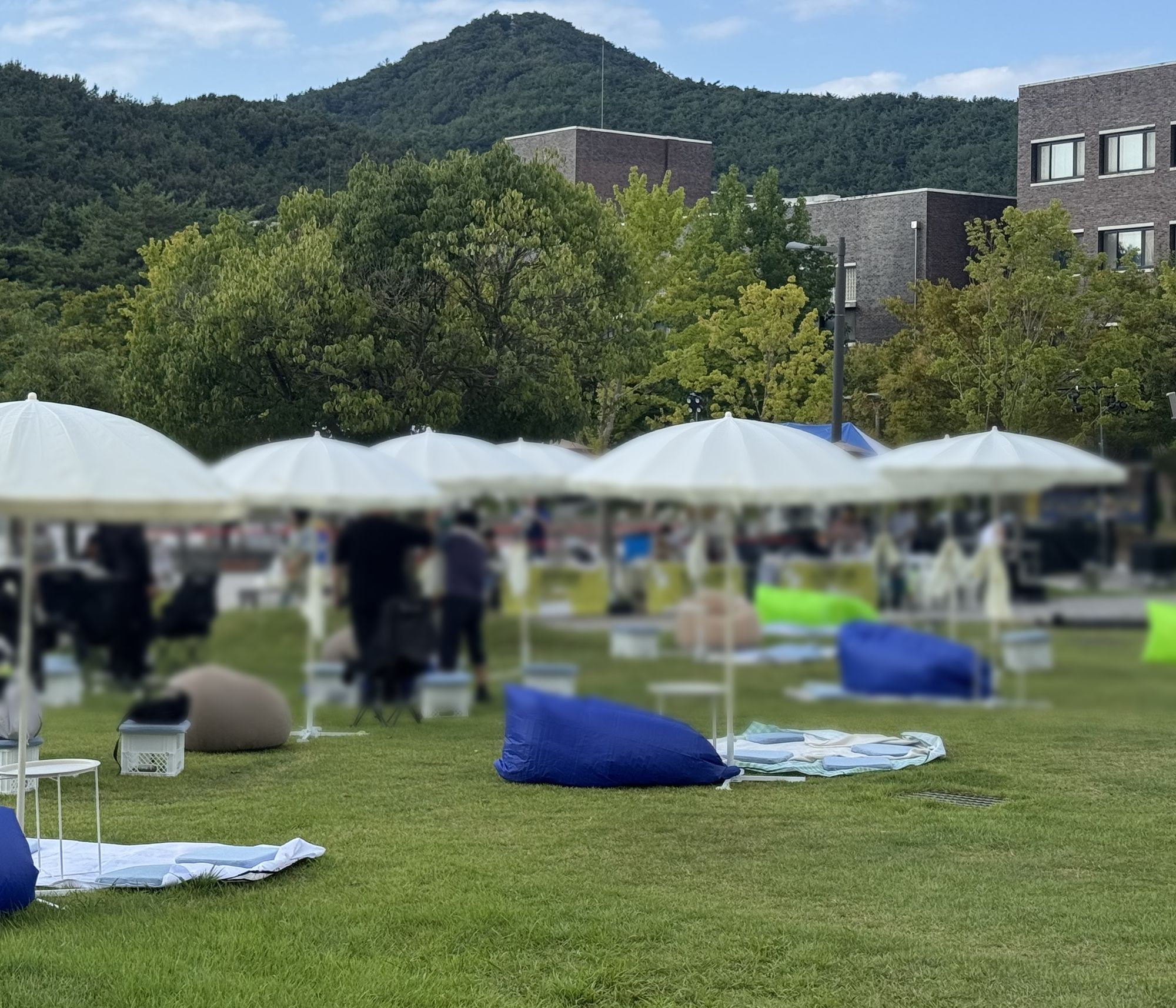 산 아래 잔디밭에 펼친 태슬 파라솔과 빈백